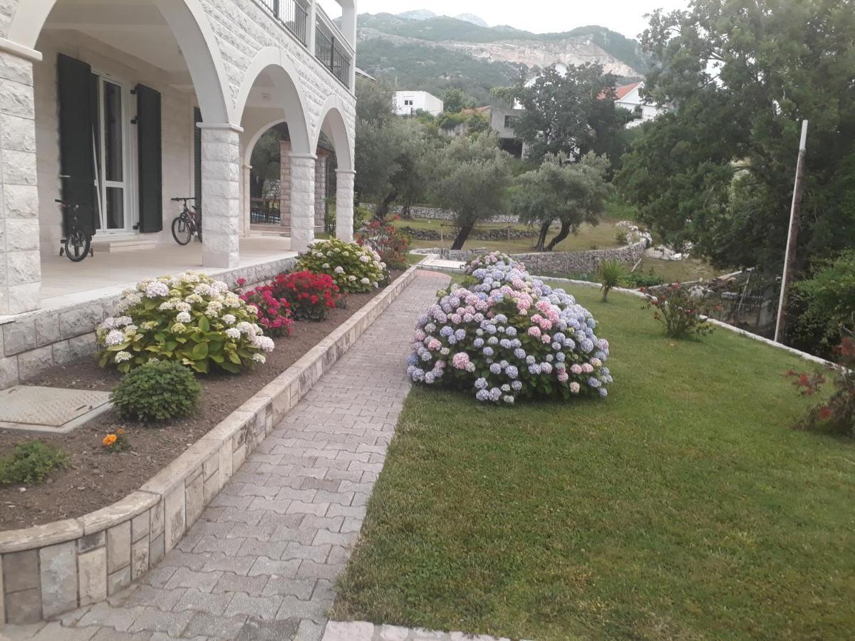 Apartmani Andrea 헤르섹 외부 사진